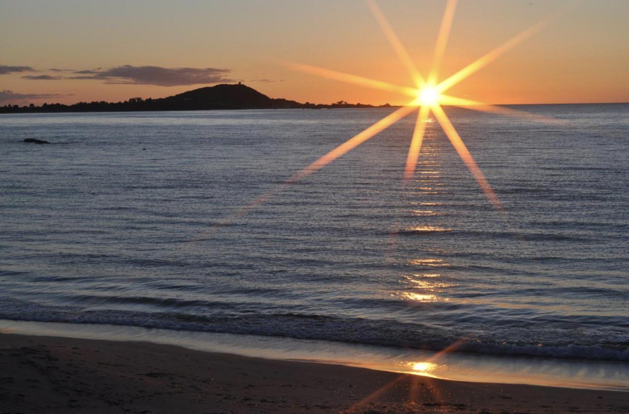 Agosta Porticcio - Plage A 200M - T2 Neuf Entre Mer & Maquis - Barbecue- Res Fiore Di Maghja - Parking - Wifi - 4 Pers Les Hameaux de Porticcio Εξωτερικό φωτογραφία